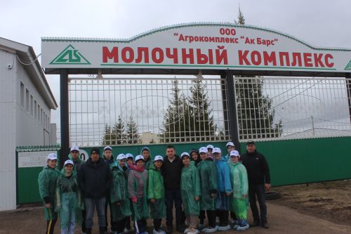 “Ак барс”та сыер савучылар 60 мең сум хезмәт хакы ала!