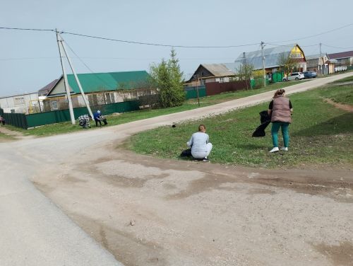 Бүген Арчада коры елгаларны, юл буйларын чистарттылар, агачларны буядылар