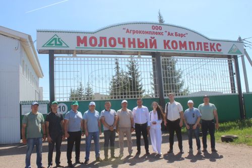 Сыйфат өчен тырышалар