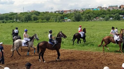 Арчада атлар ярышы