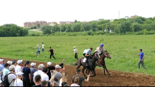 Арчада атлар ярышы