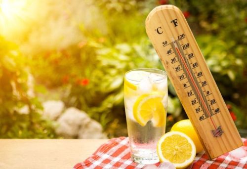 Тәмле лимонадны өйдә ясыйбыз