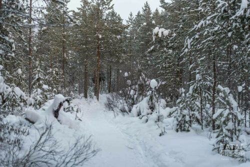 Синоптиклар Татарстанда көчле җил һәм бозлавык хакында кисәтте