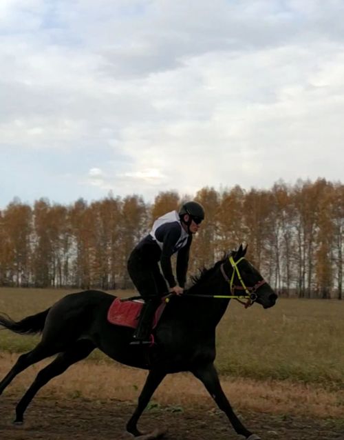 Яңа Кырлайда атлар ярышы сезонын тәмамладылар