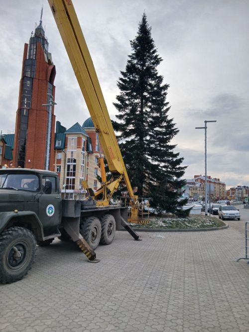 Арчада яңалык! Ишеттегезме әле?