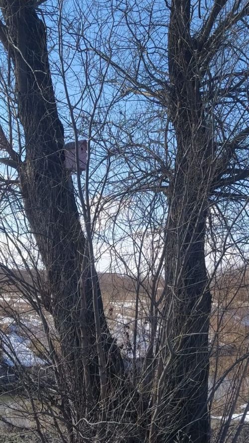 Арчаның Казансу паркында