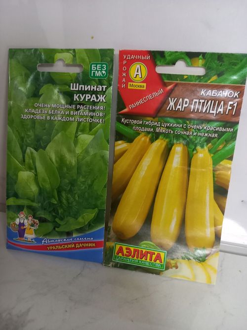 Время покупать семена