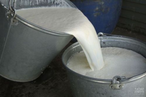 Сыер мае һәм әче сөт продукциясен җитештерү кимегән, ә сыр – арткан