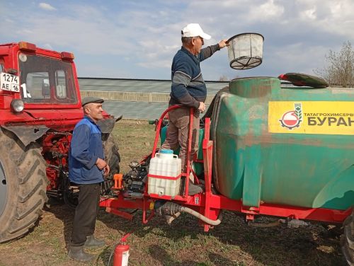 Һава торышы бөртекле культураларга ничек тәэсир итә