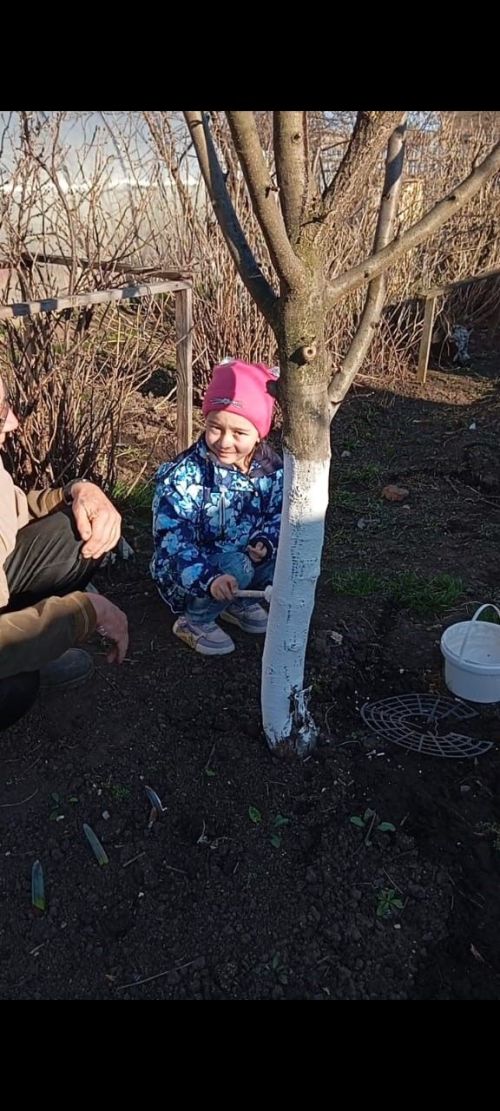 Бергәләп Аллея утырттылар: Божа балалар бакчасы “Экояз-2025” бәйгесенә кушылды