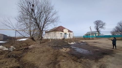 Чисталык буенча икеайлык бара