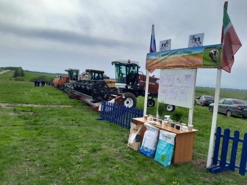 Печәннәре җитәр бер заман...