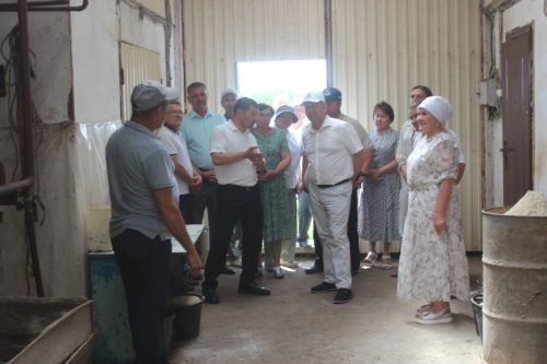 Кечкенә ферма төзүчеләргә 1 миллион сум биреләчәк
