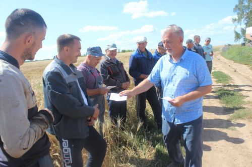 Арчада уракны башладылар