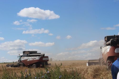 Арчада уракны башладылар