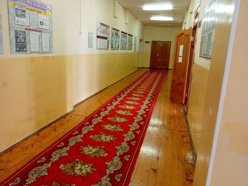 Комиссия һәр мәктәп, балалар бакчасын җентекләп тикшерә