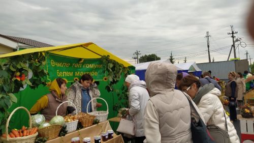 Арчада мәктәпләр ярминкәсе гөрли