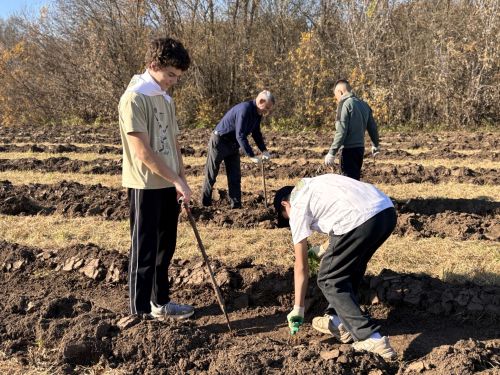 Арчада 5 меңнән артык агач утыртылды: Казансу елгасын саклау буенча масштаблы проект дәвам итә