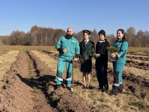 Арчада 5 меңнән артык агач утыртылды: Казансу елгасын саклау буенча масштаблы проект дәвам итә