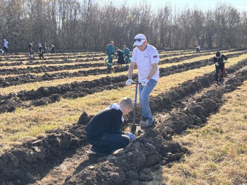 Арчада 5 меңнән артык агач утыртылды: Казансу елгасын саклау буенча масштаблы проект дәвам итә