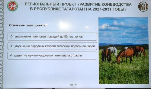 Атлар санын 1.5 тапкырга арттырырга