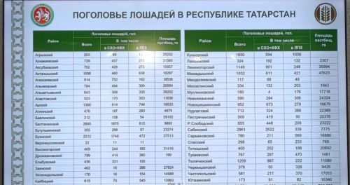 Атлар санын 1.5 тапкырга арттырырга