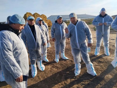 «Кызыл Яр» хуҗалыгында терлекчелек тармагына багышланган семинар-киңәшмә узды