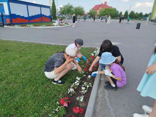 Җәйнең һәр көне файдалы узсын: районда балаларның җәйге ялы ничек оештырылды?