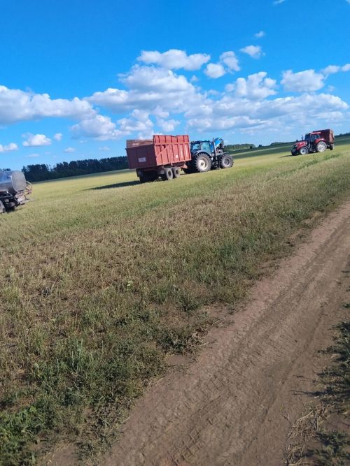 Арча районы авыл хуҗалыгы һәм азык төлек бүлеге җитәкчесе Айдар Рамазанов хуҗалыкларда азык әзерләү барышы белән танышты