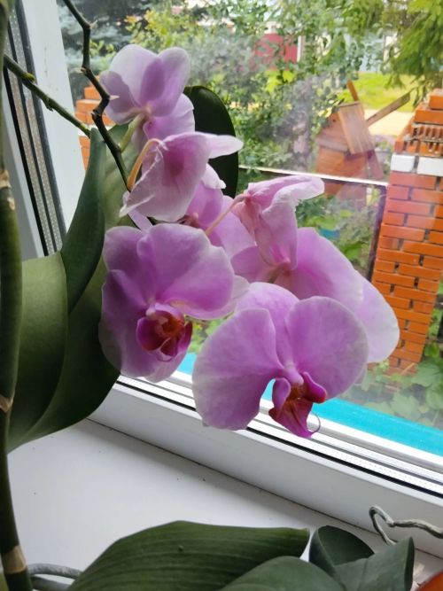 «Фотога төшү өчен генә дә киләләр»