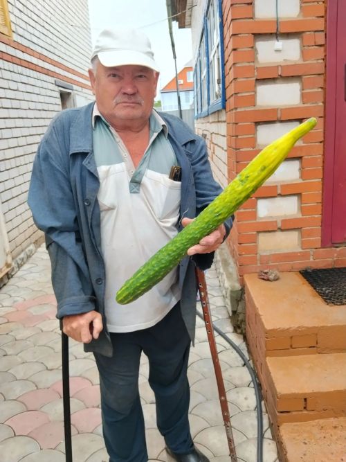 «Фотога төшү өчен генә дә киләләр»