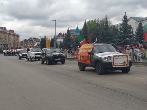Бөек Ватан сугышында Җиңүнең 80 еллыгы