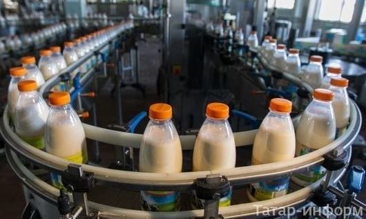 Татарстан является лидером по объемам реализации молока