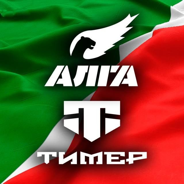 В Татарстане появился telegram-канал именных батальонов «Алга» и «Тимер»