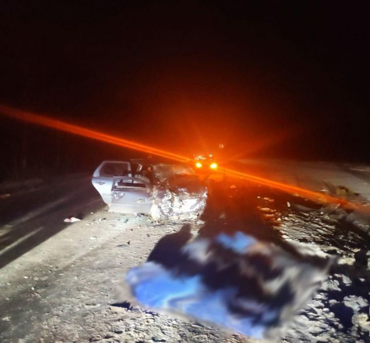 В Татарстане скончались четыре человека из-за лобового столкновения авто