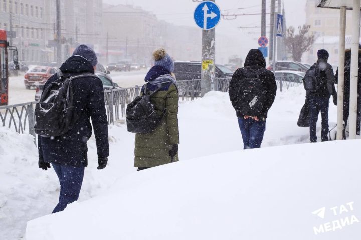 Салкын. Мәктәпкә бармасаң ярыймы?