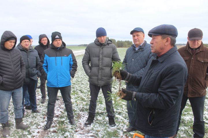 “Курса МТСы“ ширкәтендә хуҗалык җитәкчеләре, баш агрономнар, баш инженерлар белән семинар-киңәшмә булды