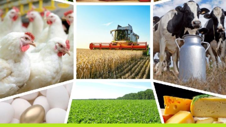 Министерство объявляет отбор по предоставлению субсидии сельскохозяйственным потребительским кооперативам и переработчикам