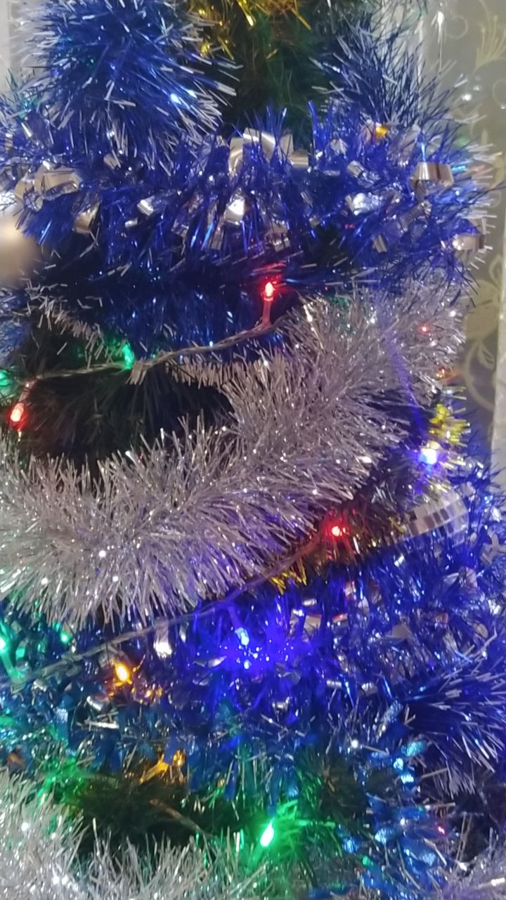 Фәрит Мөхәммәтшин Казанда яшәүче ике кызның Яңа ел теләкләрен үтәде