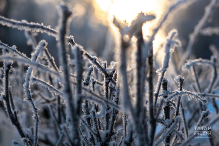 Мәгариф министрлыгы салкыннарда мәктәпләрдә дәресләрне кичектерү тәртибе турында аңлатты