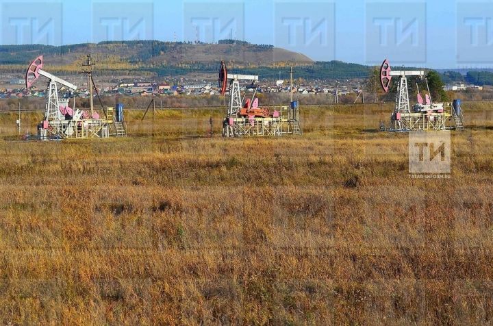 Оренбург өлкәсенең Ташлы районында яңа нефть ятмасы табылган