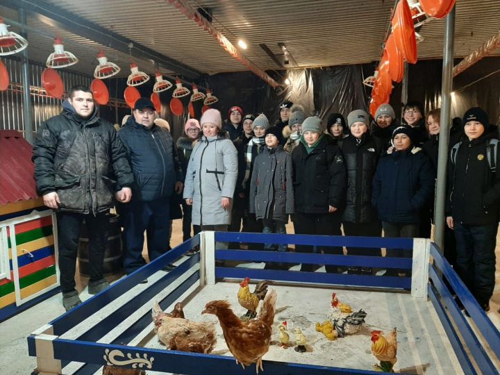 Балалар крестьян-фермер хуҗалыкларында булдылар
