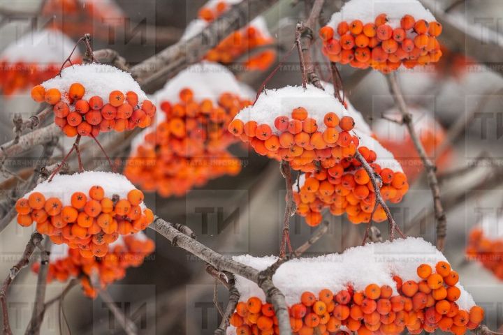 Аномально теплая погода ждет татарстанцев в первую декаду февраля