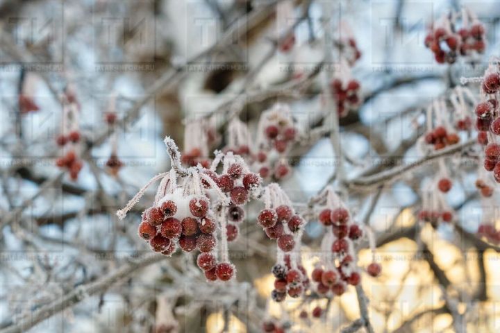 Атна уртасында Татарстанда -27 градуска кадәр суыта