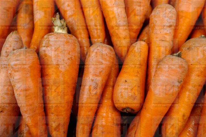 В Казани безбилетникам раздавали морковь