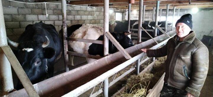 Айлык сөт акчасы үзе генә дә 100 мең сумнан артып китте