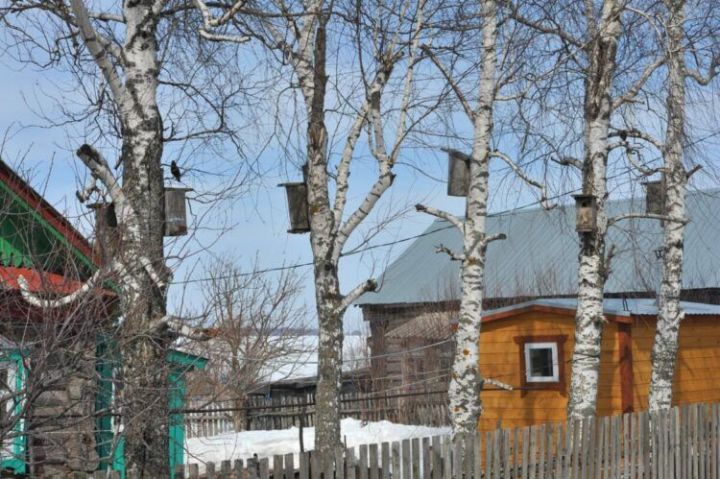 Халык синоптигы чын язның кайчан киләчәген әйтте һәм шиген белдерде