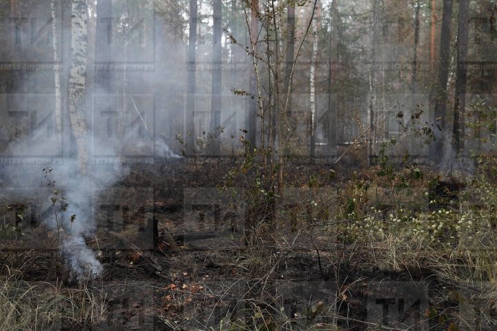 Гади кешеләргә – 10 меңнән 20 мең сумга кадәр штраф