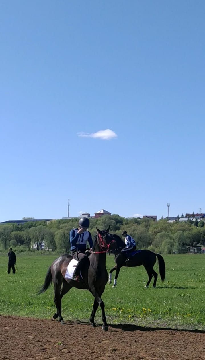 Бүген Арчада ат чабышы булды (ВИДЕО)