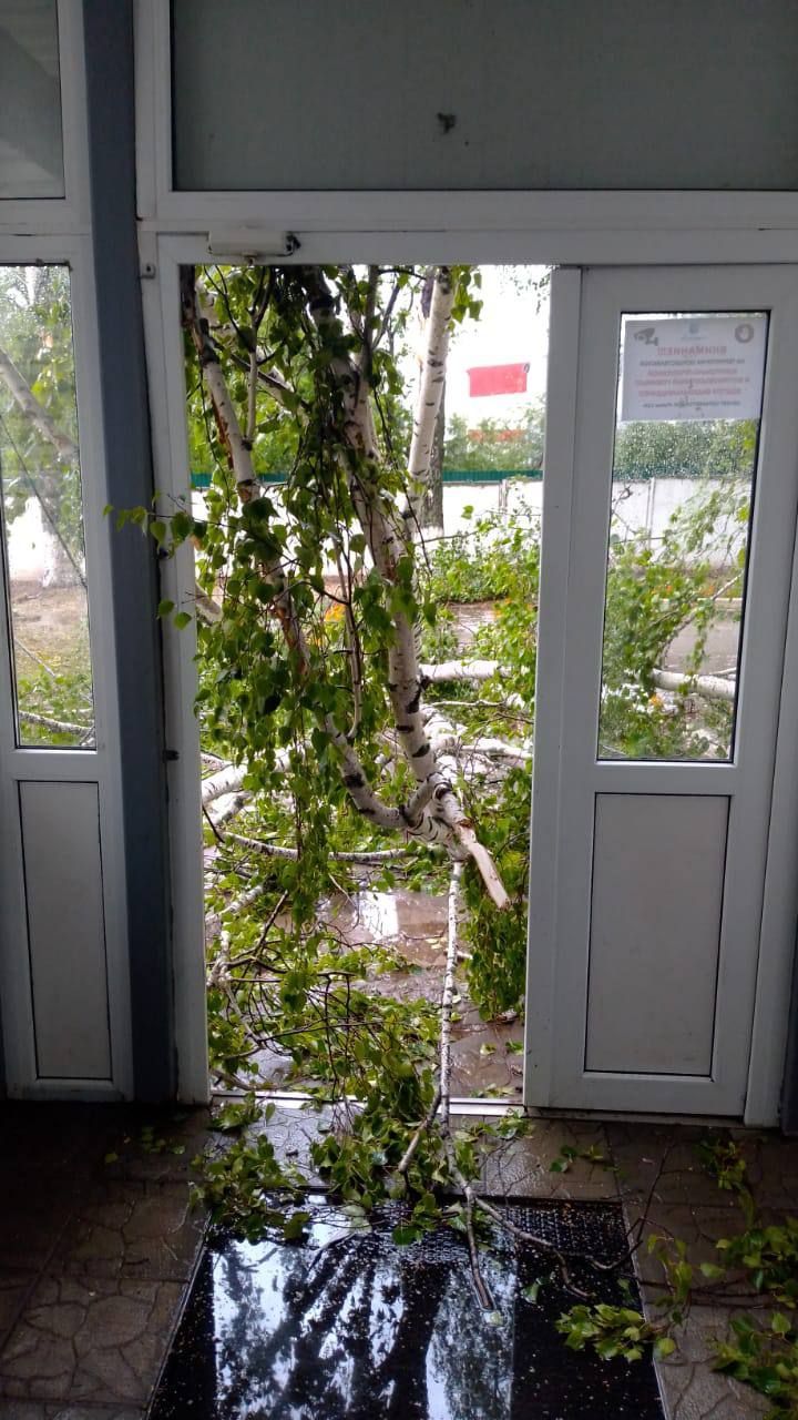 Боз яуган, җил агачларны аударган